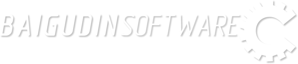 Baigudin Software
